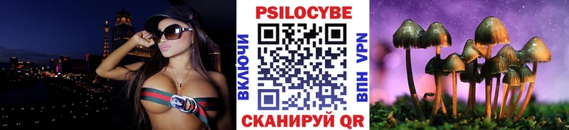 Галлюциногенные грибы Magic Shrooms  Дмитриев 