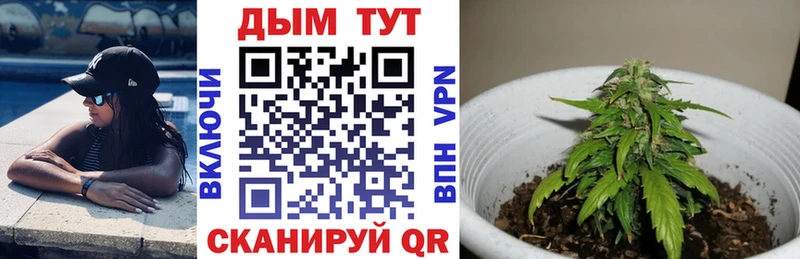 Канабис OG Kush KRAKEN ССЫЛКА Дмитриев